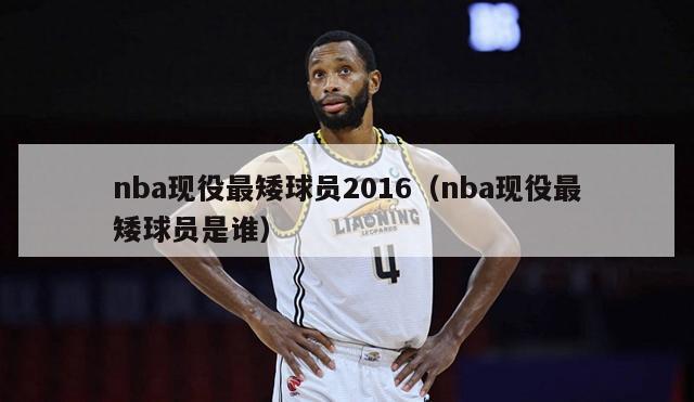 nba现役最矮球员2016（nba现役最矮球员是谁）-第1张图片-足球直播_足球免费在线高清直播_足球视频在线观看无插件-24直播网