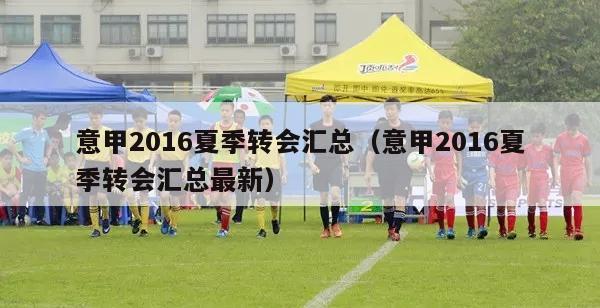 意甲2016夏季转会汇总（意甲2016夏季转会汇总最新）-第1张图片-足球直播_足球免费在线高清直播_足球视频在线观看无插件-24直播网