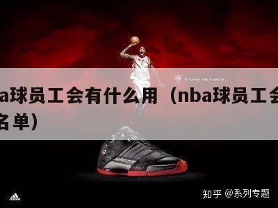 nba球员工会有什么用（nba球员工会人员名单）-第1张图片-足球直播_足球免费在线高清直播_足球视频在线观看无插件-24直播网