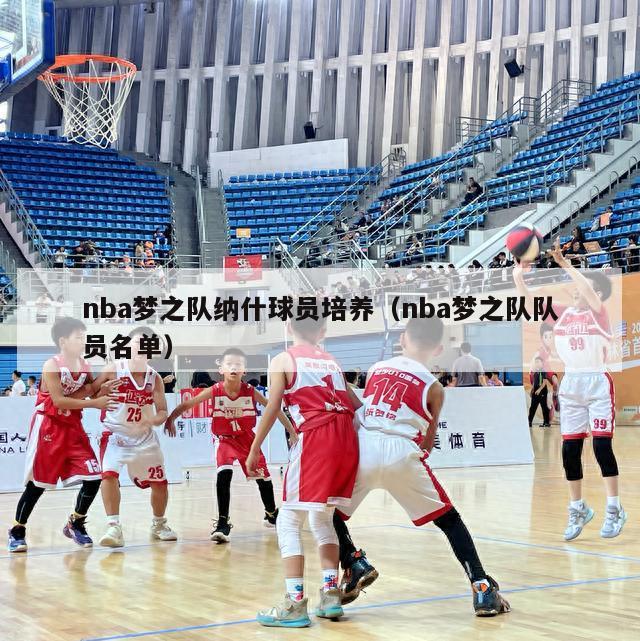 nba梦之队纳什球员培养（nba梦之队队员名单）-第1张图片-足球直播_足球免费在线高清直播_足球视频在线观看无插件-24直播网