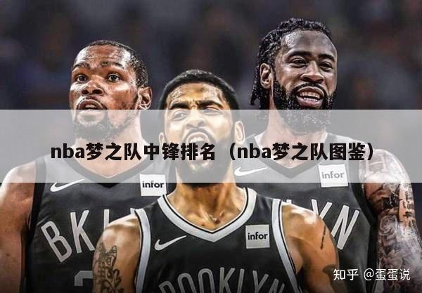 nba梦之队中锋排名（nba梦之队图鉴）-第1张图片-足球直播_足球免费在线高清直播_足球视频在线观看无插件-24直播网