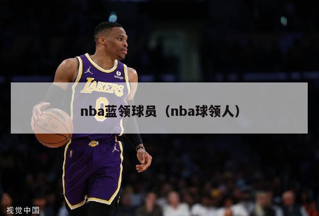 nba蓝领球员（nba球领人）-第1张图片-足球直播_足球免费在线高清直播_足球视频在线观看无插件-24直播网