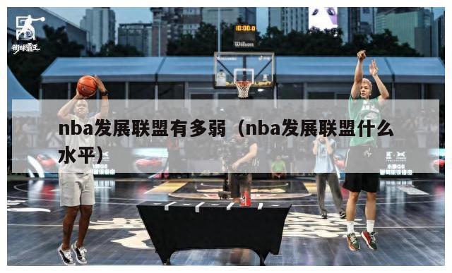 nba发展联盟有多弱（nba发展联盟什么水平）-第1张图片-足球直播_足球免费在线高清直播_足球视频在线观看无插件-24直播网