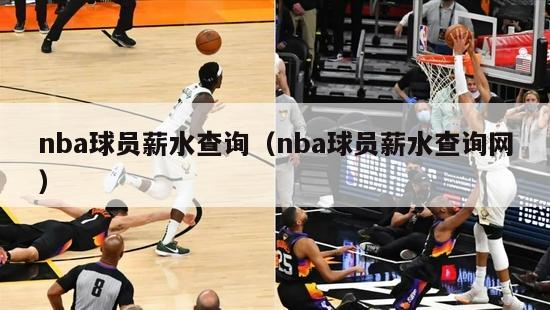 nba球员薪水查询（nba球员薪水查询网）-第1张图片-足球直播_足球免费在线高清直播_足球视频在线观看无插件-24直播网