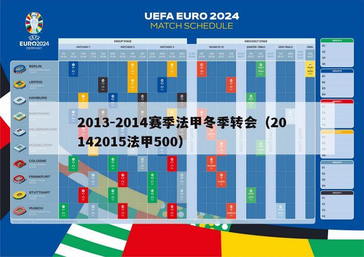 2013-2014赛季法甲冬季转会（20142015法甲500）-第1张图片-足球直播_足球免费在线高清直播_足球视频在线观看无插件-24直播网