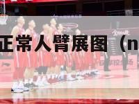 nba球员与正常人臂展图（nba球员臂围排名）-第1张图片-足球直播_足球免费在线高清直播_足球视频在线观看无插件-24直播网