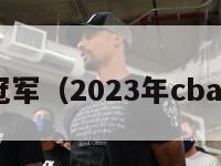 cba总冠军（2023年cba总冠军）-第1张图片-足球直播_足球免费在线高清直播_足球视频在线观看无插件-24直播网