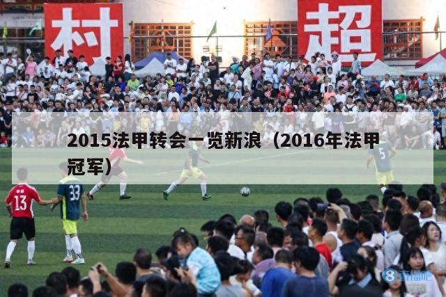 2015法甲转会一览新浪（2016年法甲冠军）-第1张图片-足球直播_足球免费在线高清直播_足球视频在线观看无插件-24直播网