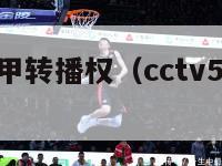 cctv5西甲转播权（cctv5转播西甲吗）-第1张图片-足球直播_足球免费在线高清直播_足球视频在线观看无插件-24直播网