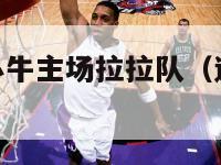 nba达拉斯小牛主场拉拉队（达拉斯小牛队为什么改名）-第1张图片-足球直播_足球免费在线高清直播_足球视频在线观看无插件-24直播网