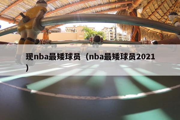 现nba最矮球员（nba最矮球员2021）-第1张图片-足球直播_足球免费在线高清直播_足球视频在线观看无插件-24直播网