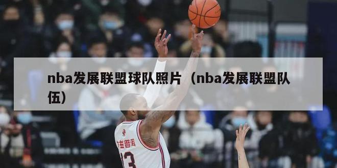 nba发展联盟球队照片（nba发展联盟队伍）-第1张图片-足球直播_足球免费在线高清直播_足球视频在线观看无插件-24直播网