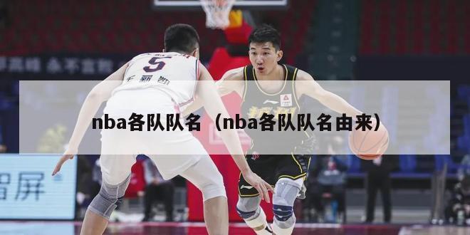 nba各队队名（nba各队队名由来）-第1张图片-足球直播_足球免费在线高清直播_足球视频在线观看无插件-24直播网