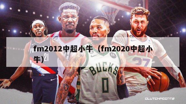 fm2012中超小牛（fm2020中超小牛）-第1张图片-足球直播_足球免费在线高清直播_足球视频在线观看无插件-24直播网