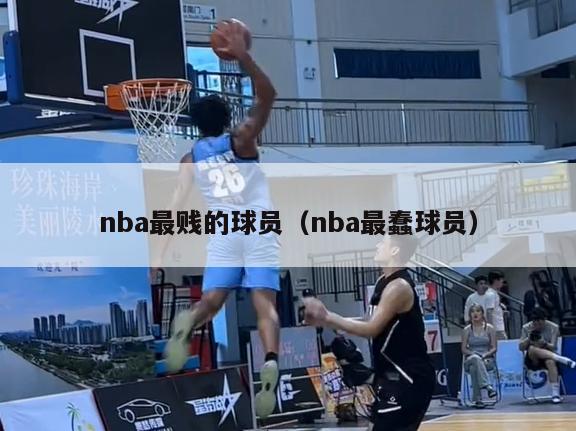 nba最贱的球员（nba最蠢球员）-第1张图片-足球直播_足球免费在线高清直播_足球视频在线观看无插件-24直播网