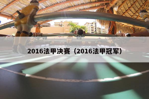 2016法甲决赛（2016法甲冠军）-第1张图片-足球直播_足球免费在线高清直播_足球视频在线观看无插件-24直播网