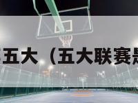 五大联赛是哪五大（五大联赛是哪五大足球）-第1张图片-足球直播_足球免费在线高清直播_足球视频在线观看无插件-24直播网