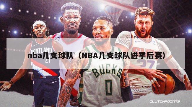 nba几支球队（NBA几支球队进季后赛）-第1张图片-足球直播_足球免费在线高清直播_足球视频在线观看无插件-24直播网