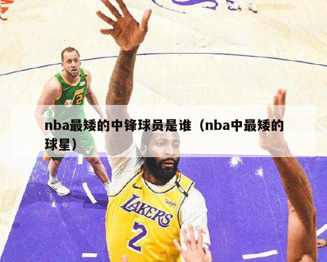 nba最矮的中锋球员是谁（nba中最矮的球星）-第1张图片-足球直播_足球免费在线高清直播_足球视频在线观看无插件-24直播网