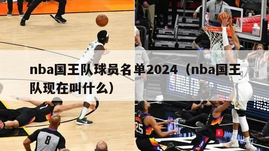 nba国王队球员名单2024（nba国王队现在叫什么）-第1张图片-足球直播_足球免费在线高清直播_足球视频在线观看无插件-24直播网