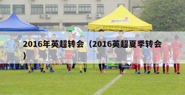 2016年英超转会（2016英超夏季转会）-第1张图片-足球直播_足球免费在线高清直播_足球视频在线观看无插件-24直播网