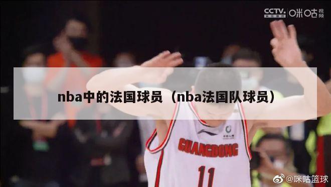 nba中的法国球员（nba法国队球员）-第1张图片-足球直播_足球免费在线高清直播_足球视频在线观看无插件-24直播网