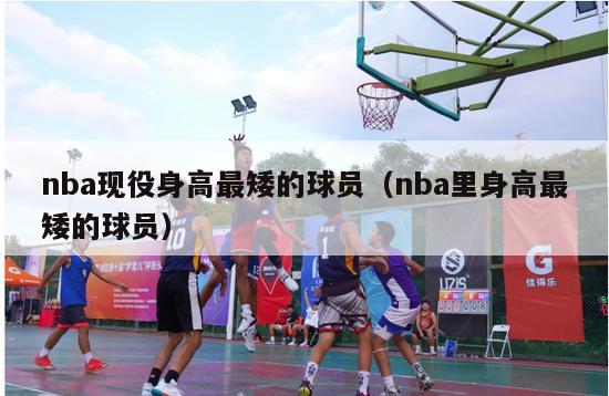 nba现役身高最矮的球员（nba里身高最矮的球员）-第1张图片-足球直播_足球免费在线高清直播_足球视频在线观看无插件-24直播网